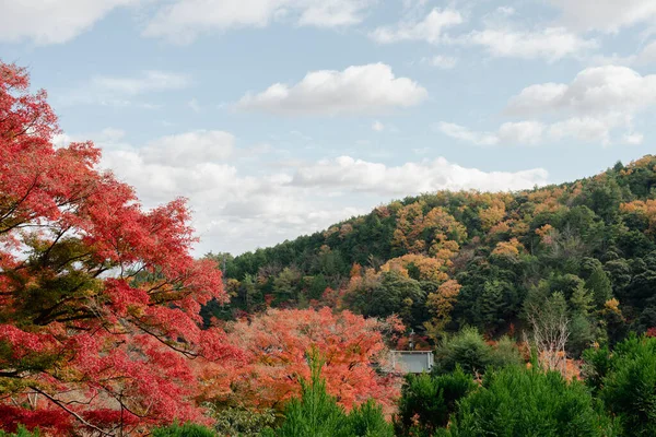 Katsuo Templo Otoño Bosque Montaña Minoh Osaka Japón — Foto de Stock
