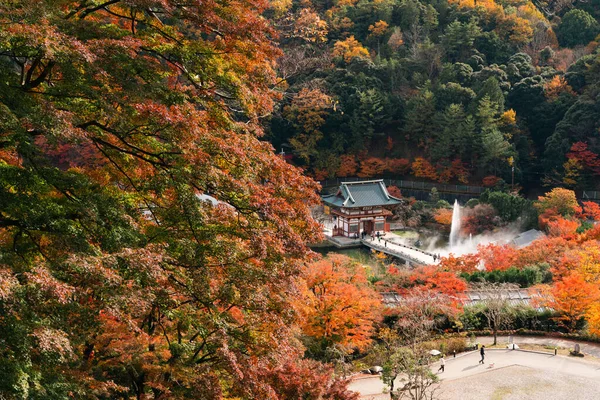 日本大阪弥诺的嘉树寺和五彩缤纷的秋天森林 — 图库照片