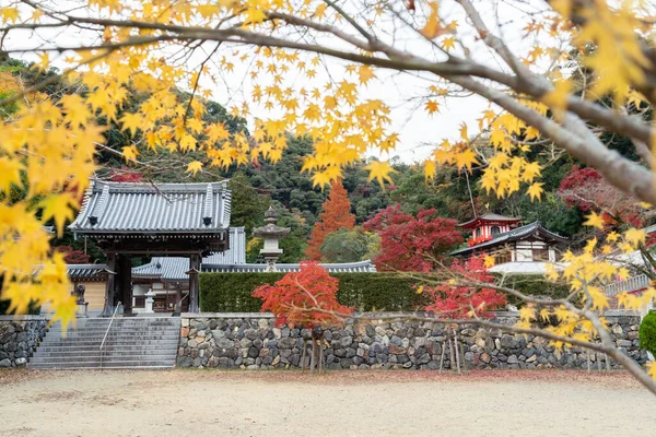 Minoh Park Ryuanji Rozciągacz Jesiennym Klonem Osace Japonia — Zdjęcie stockowe