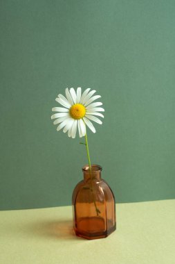 Masadaki cam vazo beyaz çiçek. Yeşil duvar arkaplanı. en küçük nesne