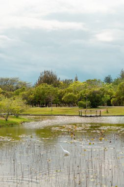 Taitung, Tayvan 'daki Taitung Orman Parkı