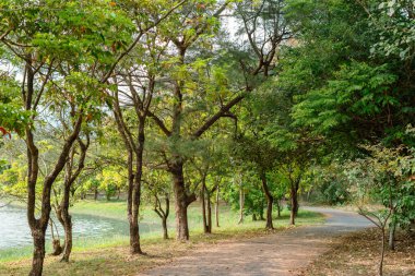 Taitung, Tayvan 'daki Taitung Orman Parkı