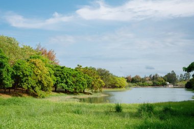 Taitung, Tayvan 'daki Taitung Orman Parkı