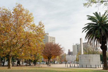 Fukuoka, Japonya 'da Hakata Reisen Parkı' nın Sonbaharı