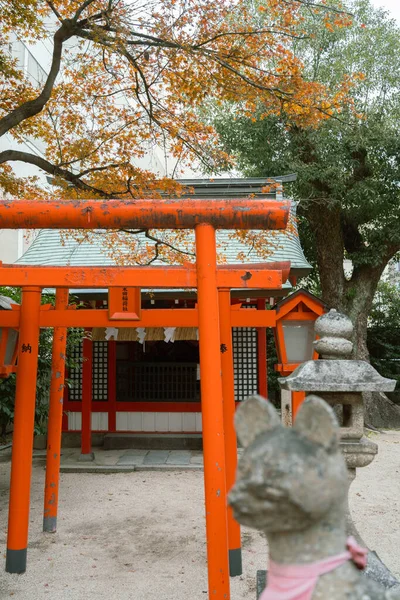 Фукуока Японія Грудня 2022 Року Осінь Храму Суїкьо Тенманґо — стокове фото
