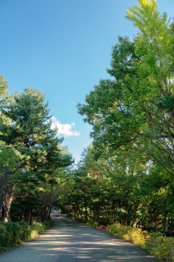 Goyang, Kore 'deki Haengjusanseong Kalesi dağ yolu.