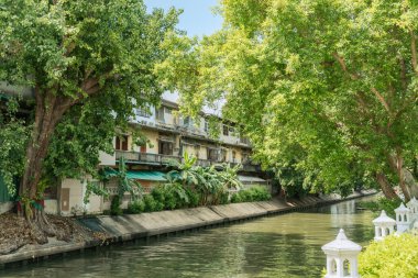 Bangkok, Tayland 'da yeşil ormanlı eski binalar ve kanal nehri