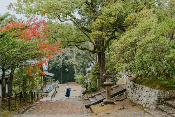 Nara Japonia Listopada 2022 Nara Deer Park Jesienna Ulica Świątynna — Zdjęcie stockowe