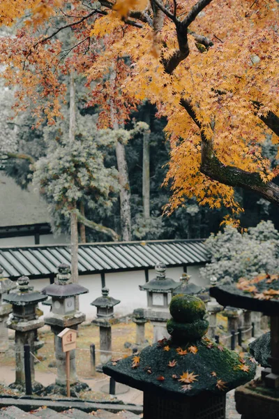 Осінній Храм Нари Дір Парк Японії — стокове фото