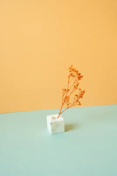 Váza Suché Gypsophila Květiny Mátově Zeleném Stole Oranžové Pozadí Stěny Stock Fotografie