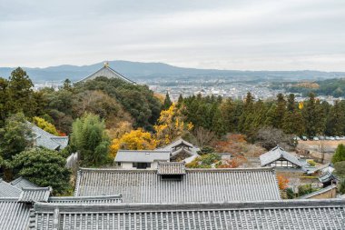 Japonya, Nara 'da sonbaharda geleneksel Nara Parkı panoramik manzarası