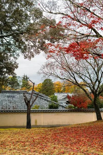 Парк Нара Традиційний Храм Осіннім Листям Нара Японія — стокове фото