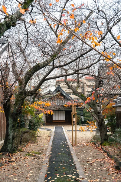 Японське Традиційне Містечко Старий Храм Імайо Восени Нара Японія — стокове фото