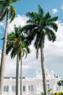 Penang, Malezya 'da palmiye ağacı olan Georgetown Penang Belediye Sarayı