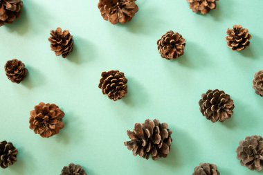 Nane yeşili arka planda çam kozalağı deseni. en üstteki görünüm