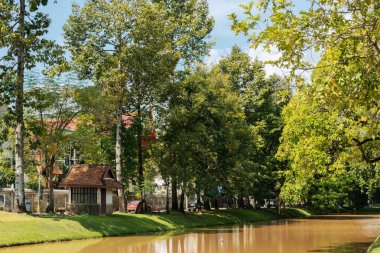 Chiang Mai eski şehir hendeği ve Tayland 'daki yeşil orman yolu.