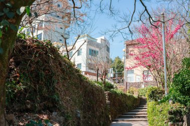 Jeju Adası, Kore - 2 Mart 2023 Seogwipo Lee Jung Seop Caddesi