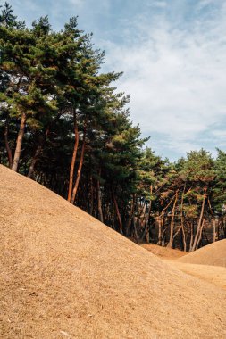 Kore, Gyeongju 'da sonbaharda Seoak-dong antik kraliyet mezarları