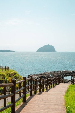 Seogwipo Jaguri Parkı ve Kore Jeju Adası 'ndaki sahil yolu.