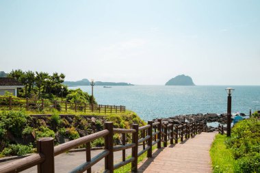 Seogwipo Jaguri Parkı ve Kore Jeju Adası 'ndaki sahil yolu.