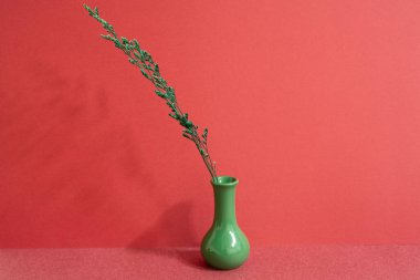 Kırmızı masada yeşil vazo dolusu kuru çiçek. Kırmızı duvar arkaplanı. İçerisi asgari