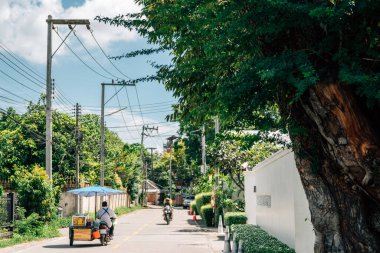 Chiang Mai, Tayland 'da sokak yemeği arabası ve yeşil ağaç yolu.