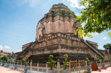 Eski şehir Wat Chedi Luang Varavihara tapınağı Chiang Mai, Tayland