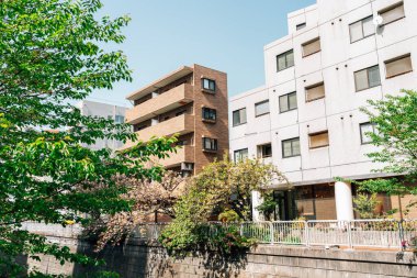 Nakameguro nehir kenarı sokağı İlkbaharda Tokyo, Japonya