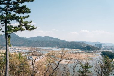 Miryang Nehir Parkı 'nın baharda Miryang, Kore' deki manzarası