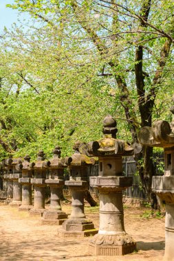 Tokyo, Japonya 'daki Ueno Park Toshogu tapınağı