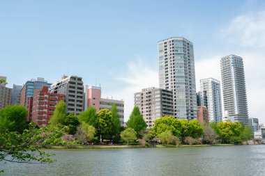 Ueno Park Shinobazu Gölü ve Tokyo, Japonya 'da ilkbaharda gökdelen