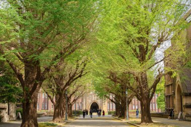 Tokyo, Japonya - 12 Nisan 2023: Tokyo Üniversitesi Yasuda Konferans Salonu ve Yeşil Orman Yolu