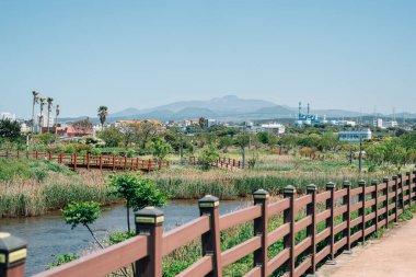 Volkanik Oreum ve Kore Jeju adasındaki köy yolu.