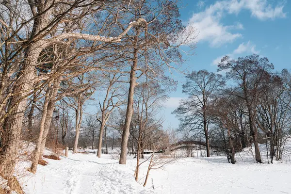 stock image Winter snow lake walkway at Onuma Quasi-National Park in Hokkaido, Japan