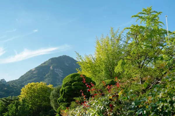 Kore, Seul 'deki Bugaksan Dağı Yazı