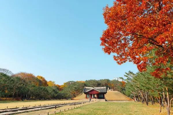 stock image Autumn of Seolleung and Jeongneung Royal Tombs in Seoul, Korea