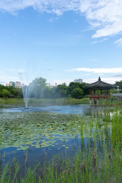 stock image Hanbat Arboretum summer garden in Daejeon, Korea