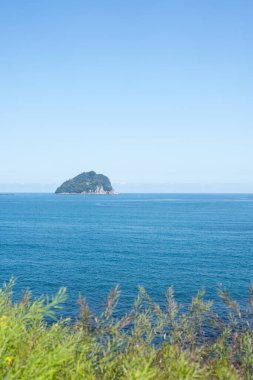 Seogwipo Jaguri Parkı Jeju Adası, Kore