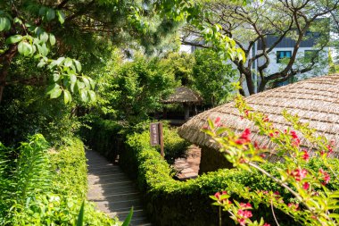 Jeju island, Korea - April 27, 2024 : Seogwipo Lee Jung Seop Street traditional thatched House clipart