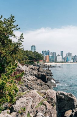 Dongbaekseom Adası ve Kore Busan 'daki Haeundae Sahili manzarası