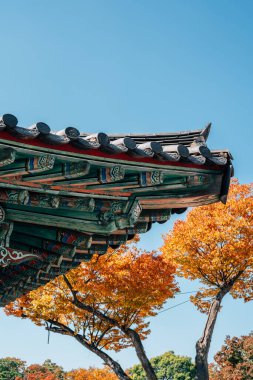 Traditional roof eaves with autumn leaves at Jinjuseong Fortress in Jinju, Korea clipart