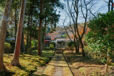 Otsu, Shiga, Japan - November 27, 2022 : Miidera temple at autumn clipart