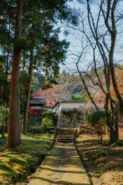 Otsu, Shiga, Japan - November 27, 2022 : Miidera temple at autumn clipart