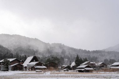 Japonya 'nın Gifu kentindeki Shirakawa-go köyü.