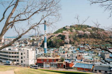 Busan, Kore - 6 Nisan 2022: Baharda Bokcheon-dong Antik Mezarları 'ndan Dongnae-gu kasabası ve dağ manzarası