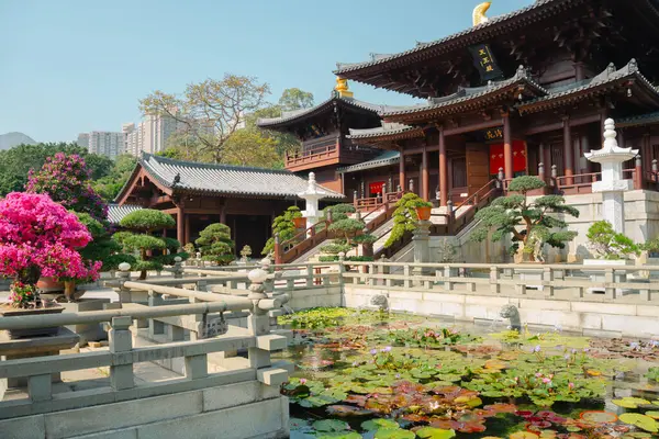 Nan Lian Garden ve Nilüfer Gölü Hong Kong 'da.