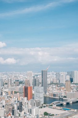 Tokyo, Japonya - 13 Temmuz 2025: Tokyo 'nun panoramik manzarası Caretta Shiodome gözlemevinden