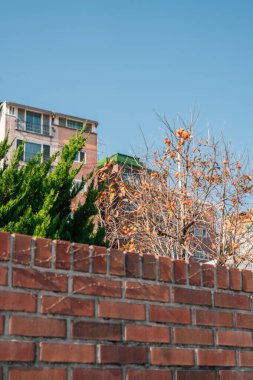 Seul, Kore 'de Bukchon Hanok Köyü sonbahar sokağı.