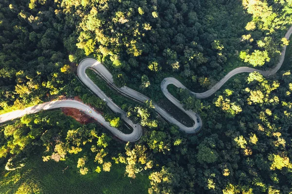 Letecký Pohled Vinoucí Cestu Mezi Stromy — Stock fotografie