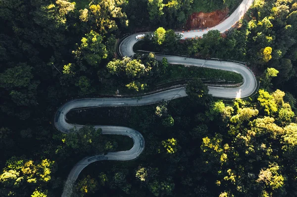 stock image Aerial View Of Winding Road Amidst Trees